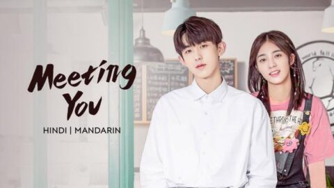 Meeting You 2020 Chinese & Korean Drama Urdu or Hindi Dubbed